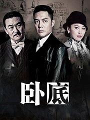 卧底1电视剧全集在线观看,揭秘卧底1电视剧全集在线观看的惊险历程