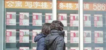 增城记者爆料视频,视频揭秘事件真相