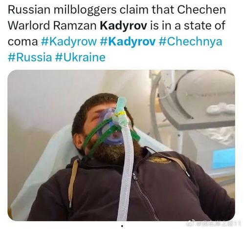 爆料小卡德罗夫最新消息,揭秘俄罗斯内部动态与未来走向”